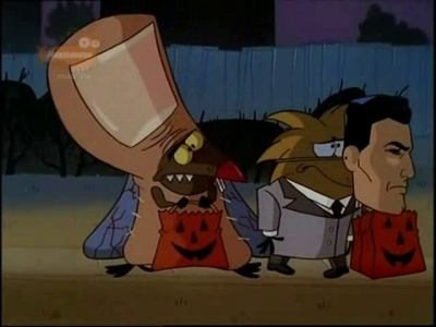 Folge Still