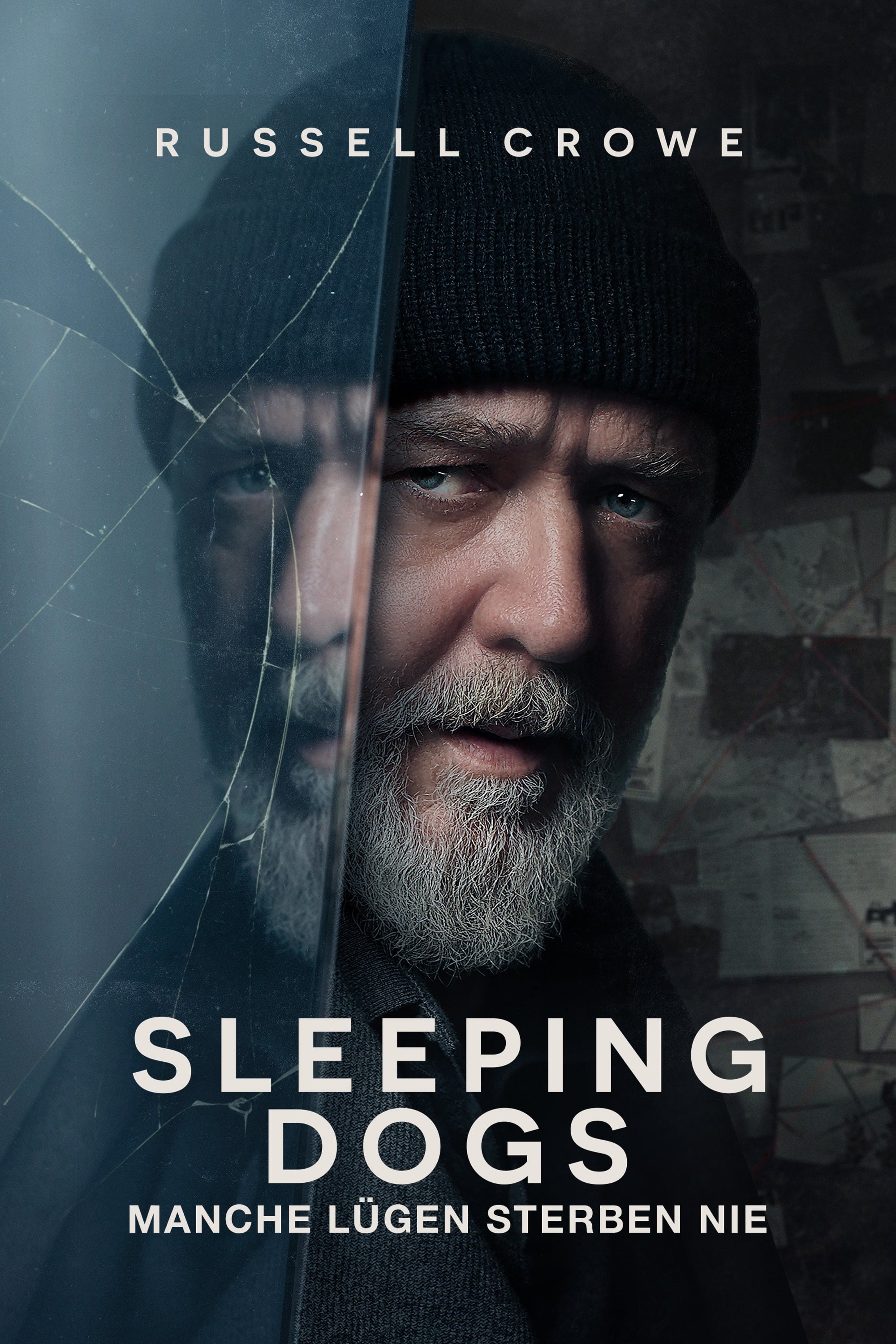 Sleeping Dogs - Manche Lügen sterben nie