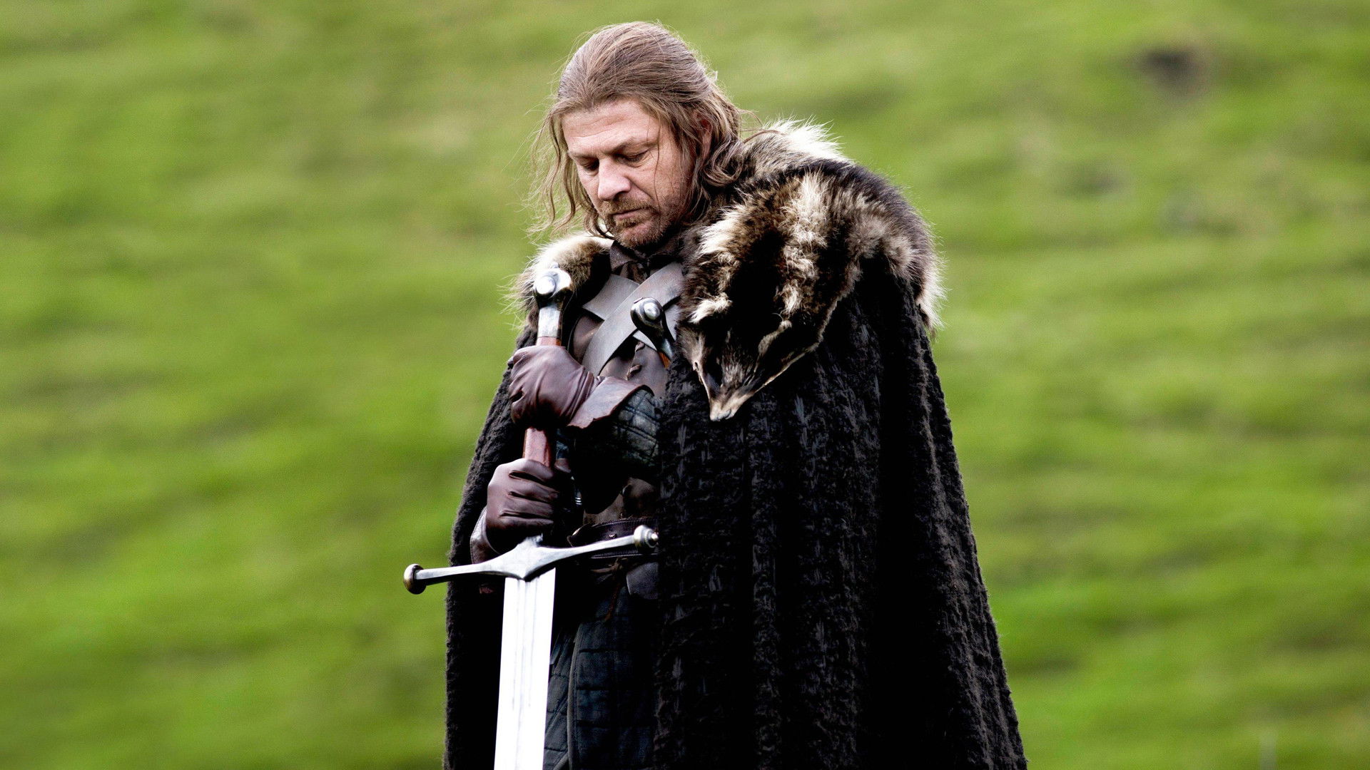 Folge Still