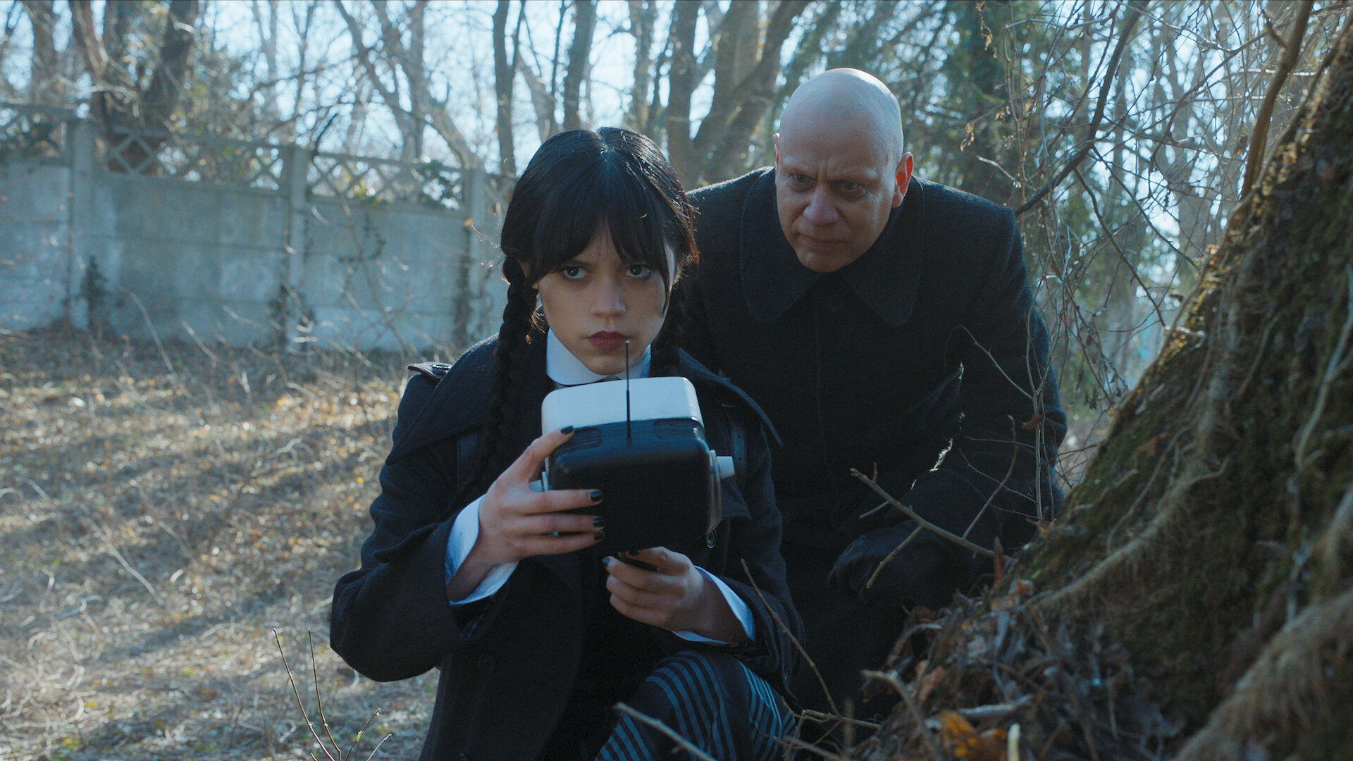 Folge Still