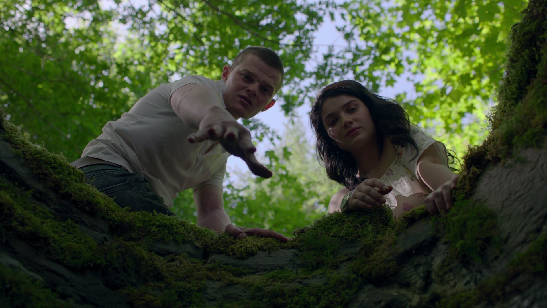 Folge Still