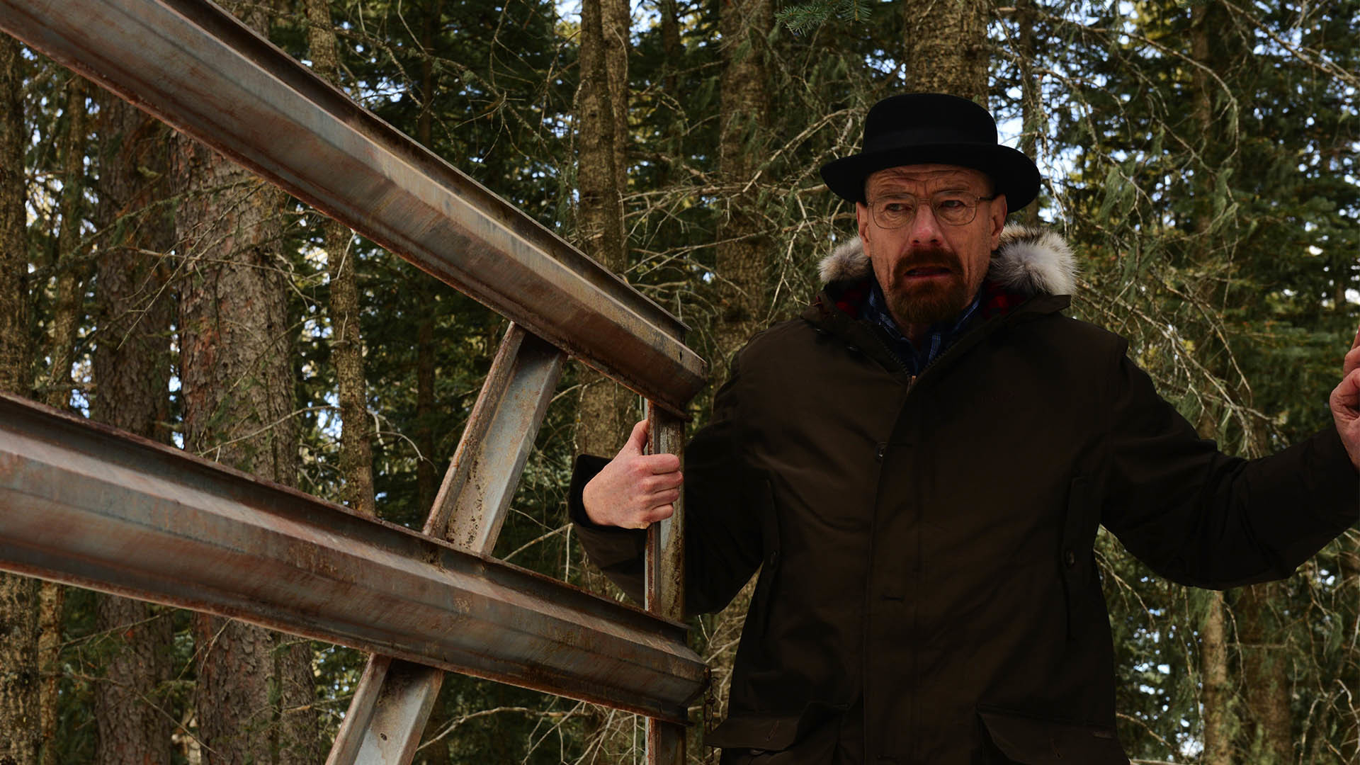 Folge Still
